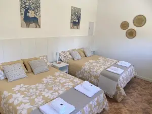House with pool, Villa Alarilla