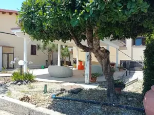 beucarnea apartment salerno
