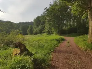 Ferienwohnungen.Ruhla