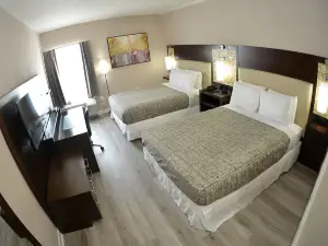 Coastal Comfort Hotel