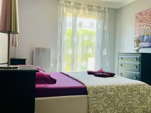 Villa les Lauriers Roses heated pool 10 min Avignon