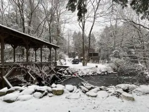 Peaceful Gateway to Island Creek Cottage