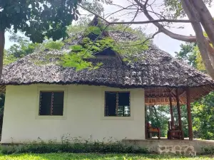Cove House House 60 m2 Creekside Indian Ocean