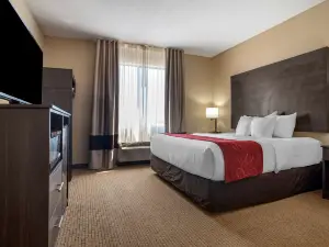 Comfort Suites Mobile West/Tillmans Corner