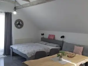 Studio Apartman Grizzly
