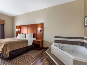 Comfort Inn & Suites Carbondale University Area