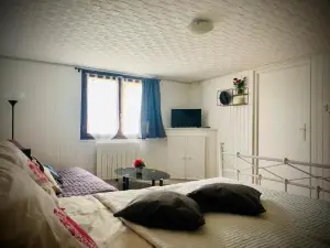 Chambre en Rez de Jardin