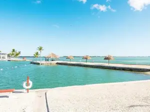 OCEANIA... water front cottage retreat ~