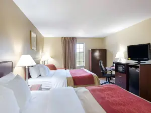 Comfort Inn New River