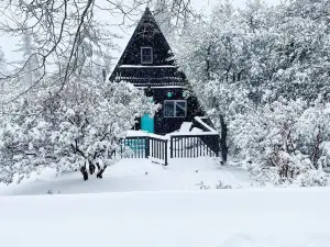 개 친화적인 A-프레임, 온수 욕조 있음, 자연 전망