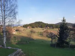 Kuća za Odmor - Martić, Rudno, Golija