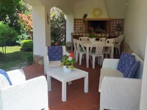 La Mimosa