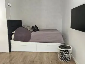 Buto Nuoma šviesos gatvėje