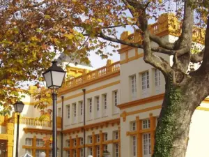Hotel Palacio de las Nieves