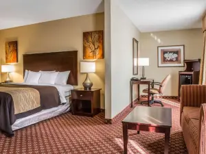 Comfort Inn Naugatuck-Shelton, CT