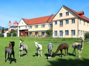 Jufa Hotel Pöllau