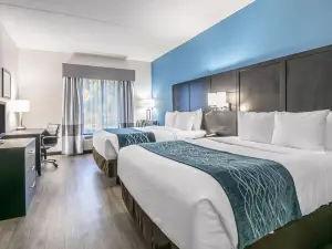 Comfort Inn University