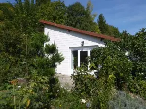Dans un Jardin