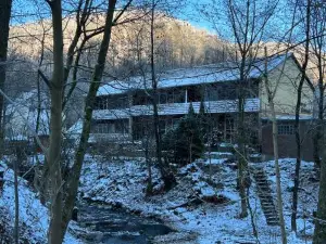 Vor Lauter Bäumen B&B