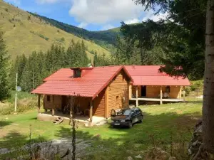 Gago’S Wooden House