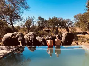 Honeyguide Tented Safari Camp - Khoka Moya