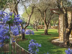 Bio Agriturismo Salos