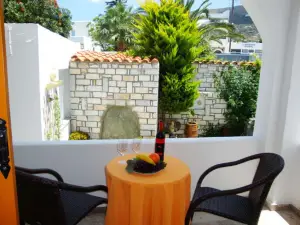 瓦西莉基客房酒店