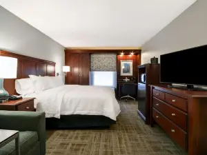 Hampton Inn Detroit/Northville (Farmington Hills Area)