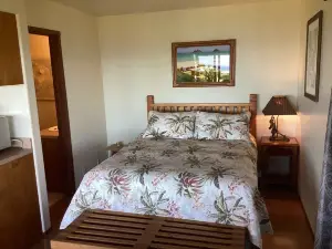 Studio Kohala Big Island Ocean View