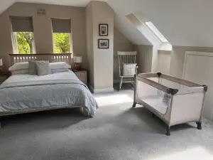The Mews