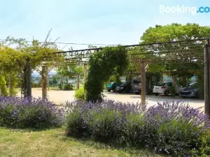瑪德拉圖爾酒店
