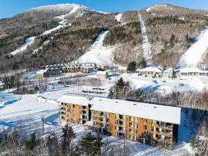 Les Caches de la Grande Pointe