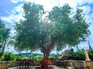 Maniata Holiday Apartments