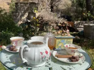 Vintage RV Creekside Nature Retreat near Ojai next to Swim Holes Hike