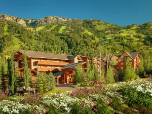 Faraway Jackson Hole