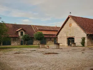 Raus | Cabins Mit Feldblick + Saunazugang