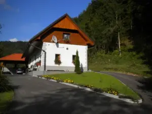 Domačija Vodnik & Apartments