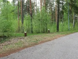 Kuivaketveleen Piha