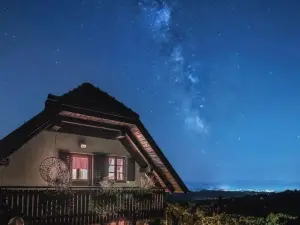 Vineyard Cottage Podržaj