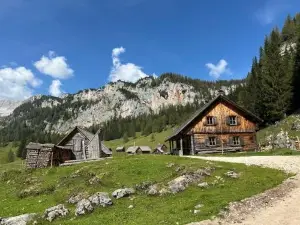 Pension Alpenhaus