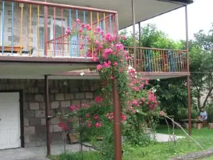 Geologist's House