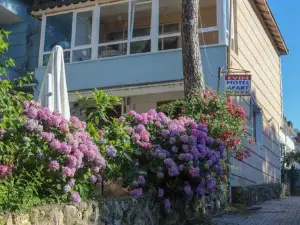 ซาฮิล เอวิม ปันซิยอน