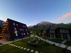 Vidis Chalet Hotel