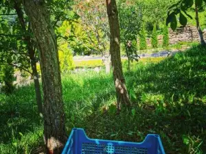 Doftana Apartaments
