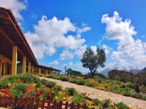 Agriturismo Il Ginepro