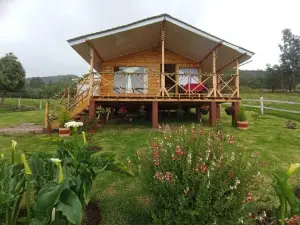 Cabana la Granja Tomine
