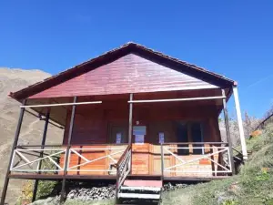 B & B Juta