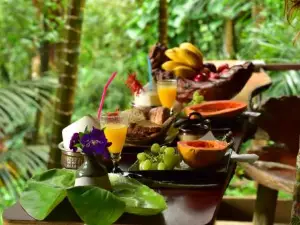 Currumbin Rainforest Treehouse