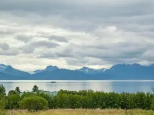 Rockfish Retreat at Kachemak Bay Kabins