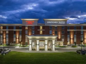 SpringHill Suites Canfield